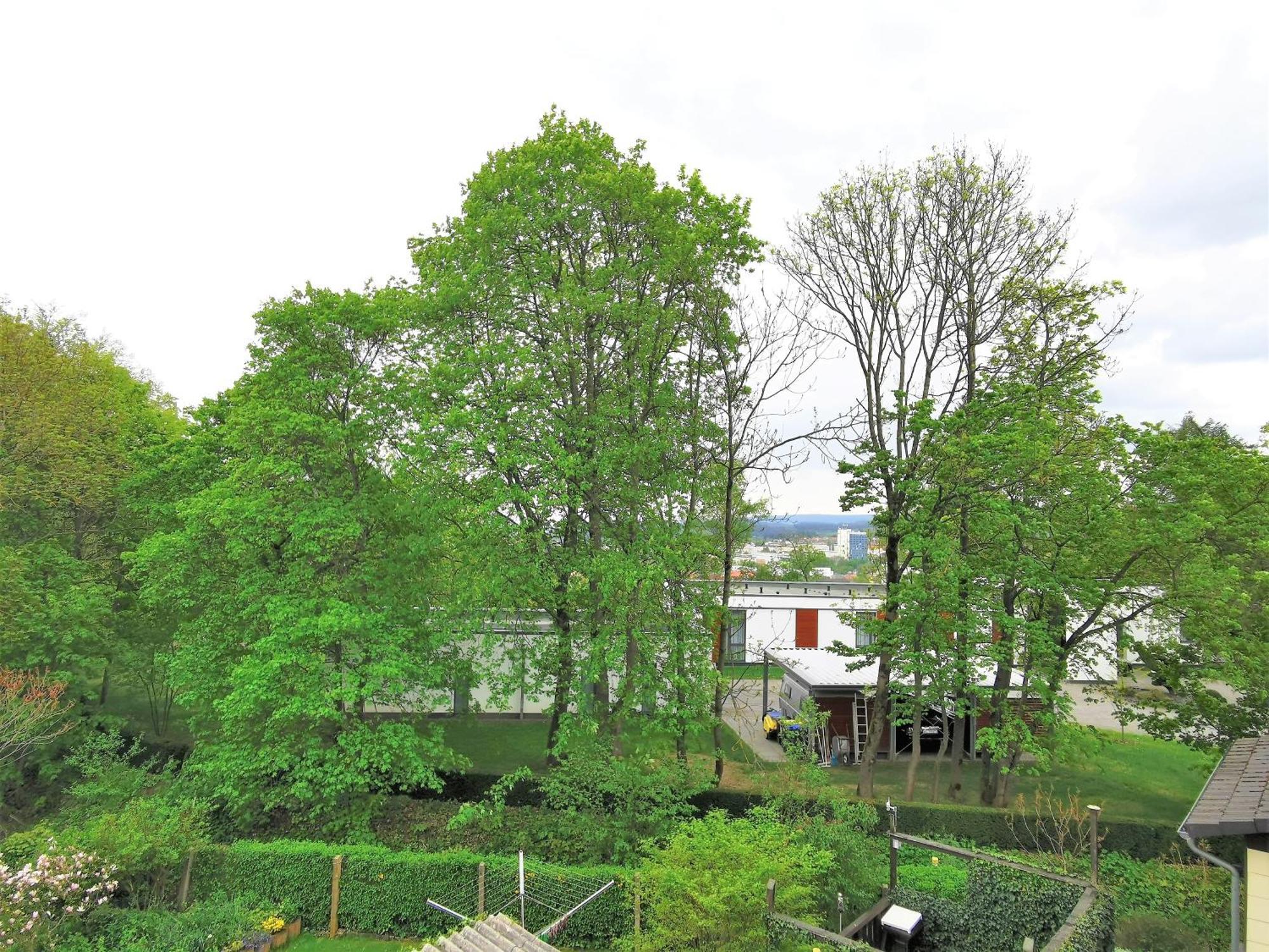 Bohnapartments: Stadtblick Zechenhaus mit Balkon und Parkplatz Ilmenau Exterior photo