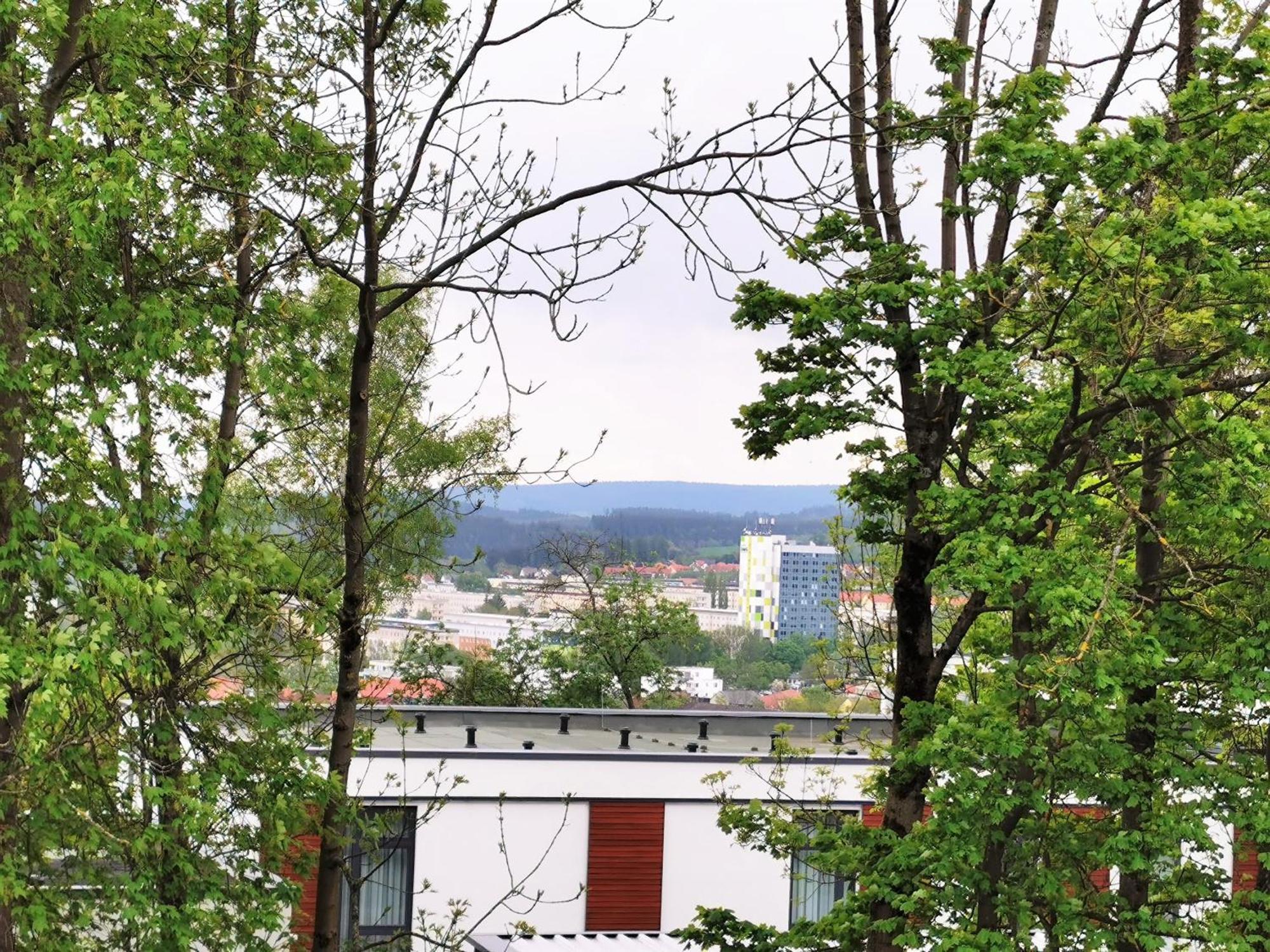 Bohnapartments: Stadtblick Zechenhaus mit Balkon und Parkplatz Ilmenau Exterior photo